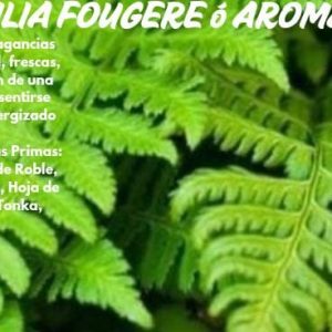 Fougeres o Aromáticas