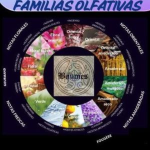 FAMILIAS OLFATIVAS